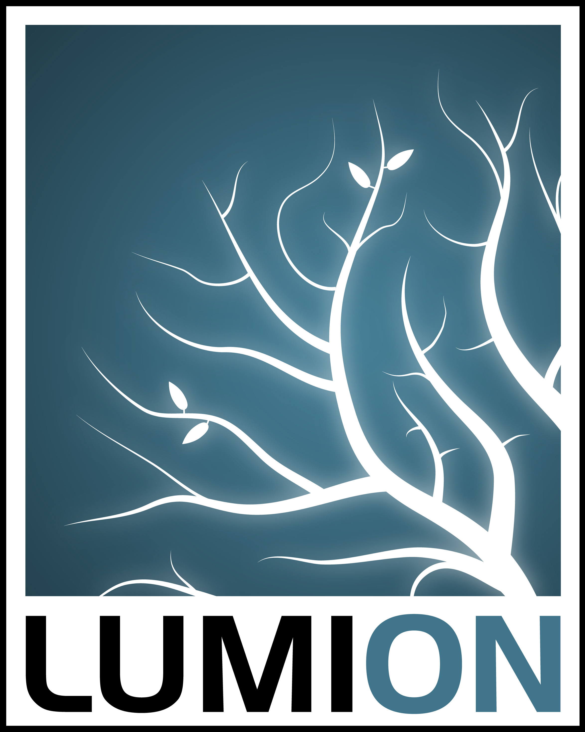 how to remove lumion logo